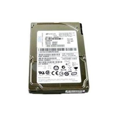 00MJ145 IBM 600GB 10000RPM SAS 6.0 Gb/s 2.5-inch 64MB Cache Hard Drive