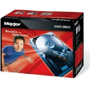L01Y300 Maxtor 300GB 7200RPM IDE Ultra ATA/133 (ATA-7) 16MB Cache 3.5-Inch Hard Drive